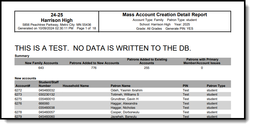 Screenshot of a Mass Account Creation Detail Report Example.