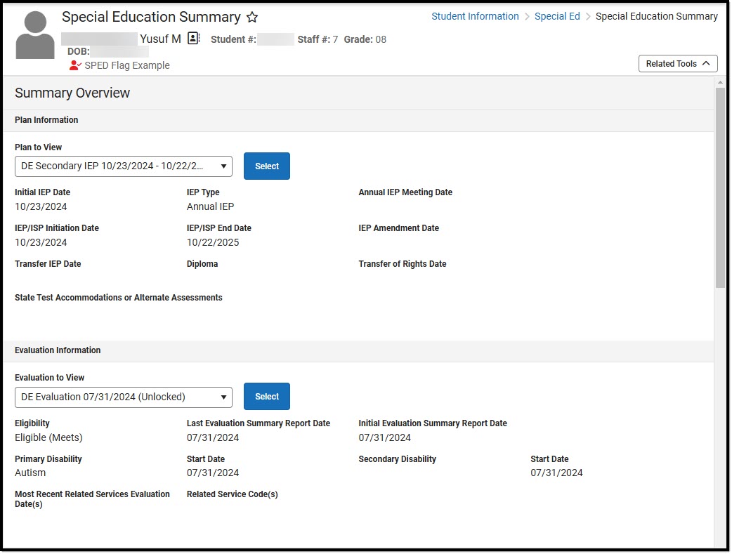 Screenshot of the Special Education Summary Tool - Plan and Evaluation Information Read-Only Sections.