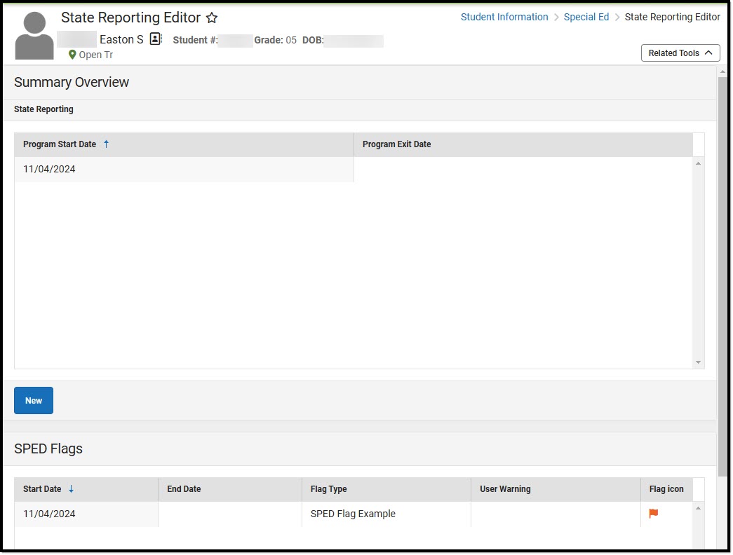 Screenshot of the Special Education State Reporting List Screen.