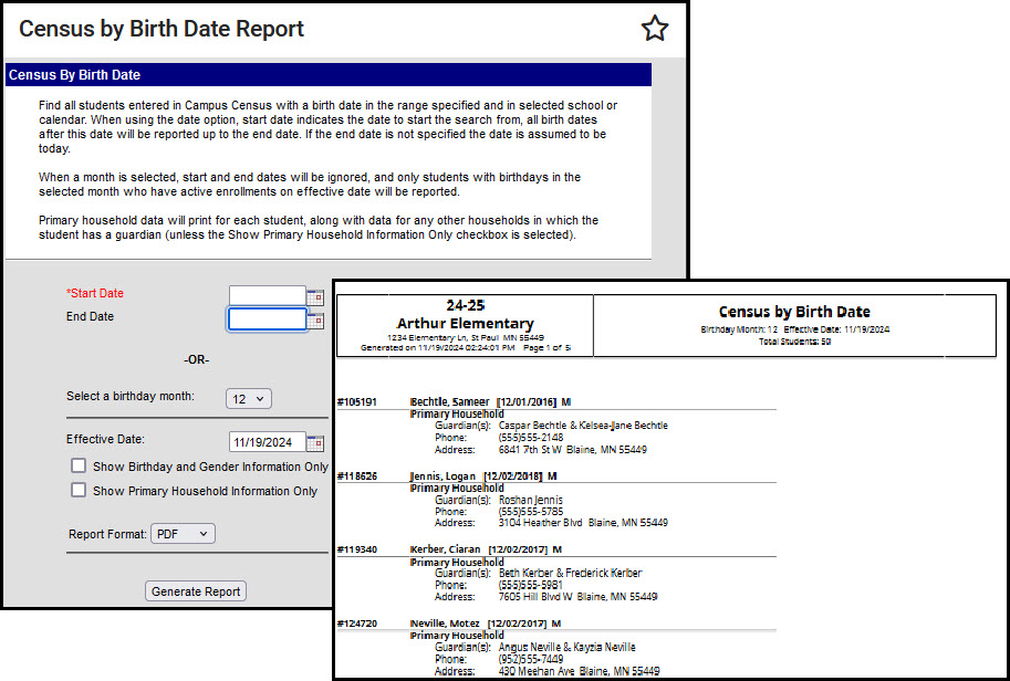 Screenshot of Census By Birth Date report.