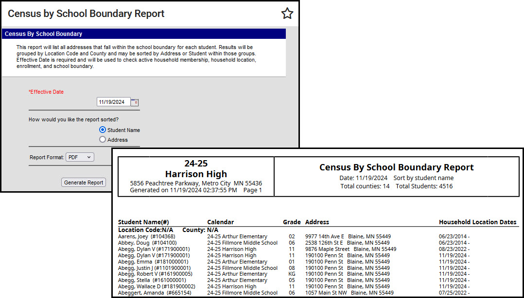 Screenshot of Census By School Boundary Report.