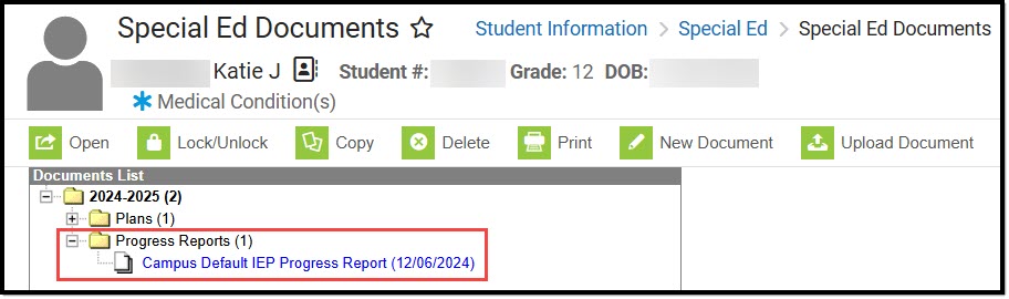 Screenshot of a Progress Report Example on the Special Ed Documents Tool.