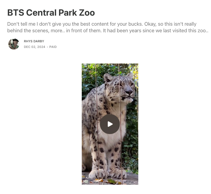 Preview screenshot of a post on Rhys' Substack, featuring a video of a leopard in a zoo enclosure. Text above the video reads: 