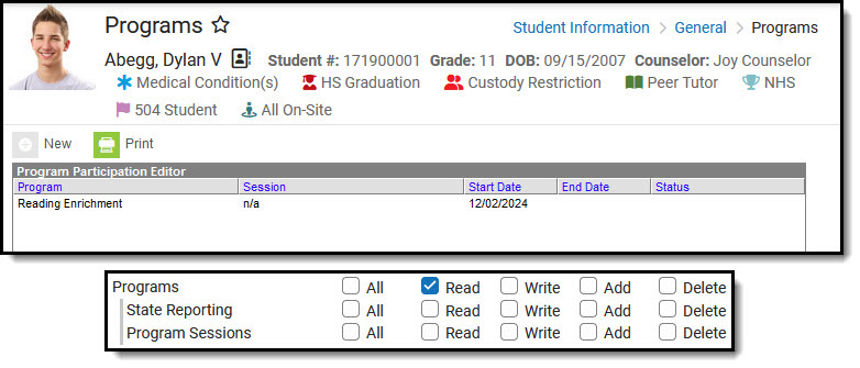 Screenshot of Student Information > General > Programs with Read rights to the tool, no subrights. Screenshot below showing applicable toolrights.