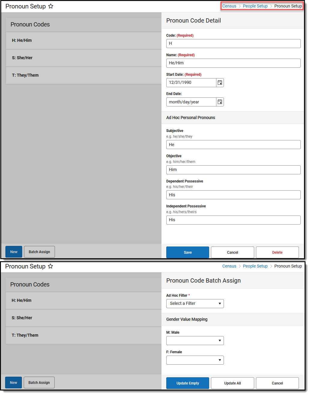 Screenshot of Pronoun Setup tool.