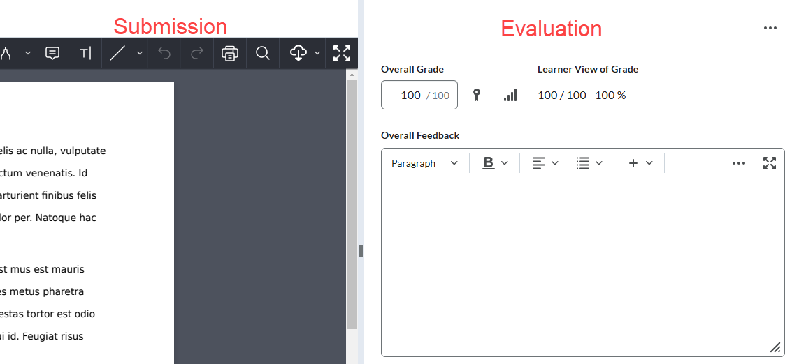 Shows submission and evaluation panes