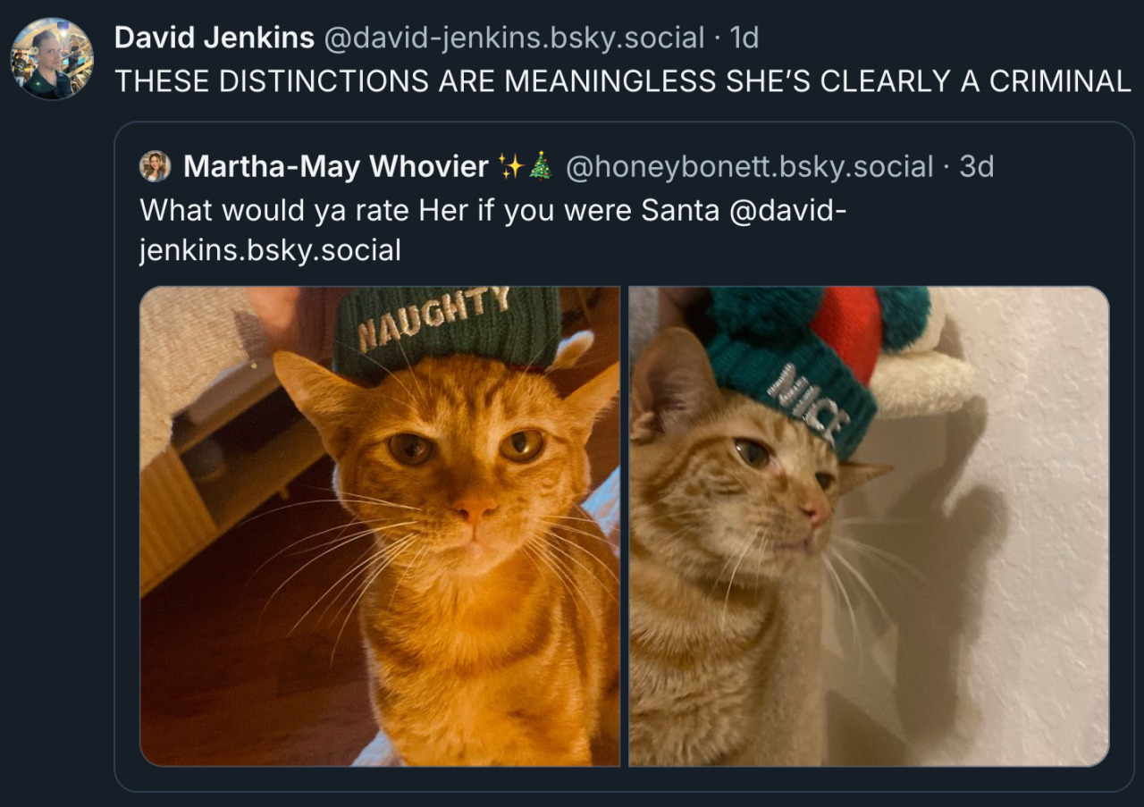 Bluesky post by ‪David Jenkins‬ ‪@david-jenkins.bsky.social‬. He is quoting a post by @honeybonett.bsky.social‬ with two photos of a cat. The cat is wearing a hat in both pictures, but one hat has 