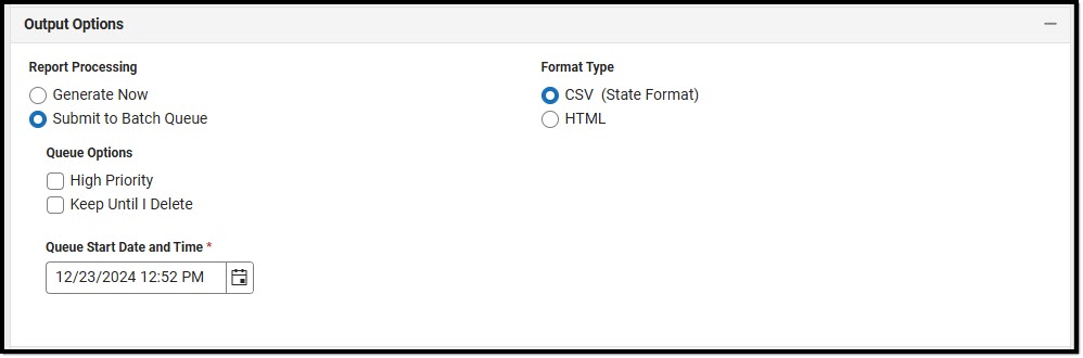 Screenshot of the output options fields.