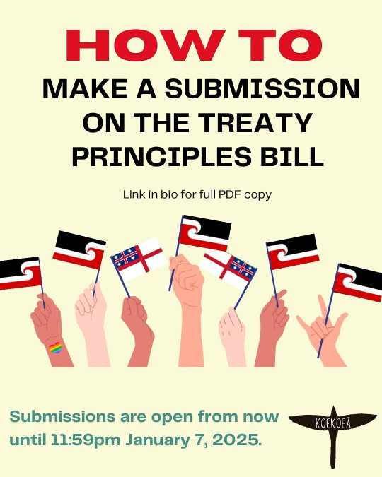 Intro graphic posted on Instagram: How to make a submission on the Treaty Principles Bill. Submissions are open from now until 11:59pm January 7, 2025. Link in bio for full PDF copy.