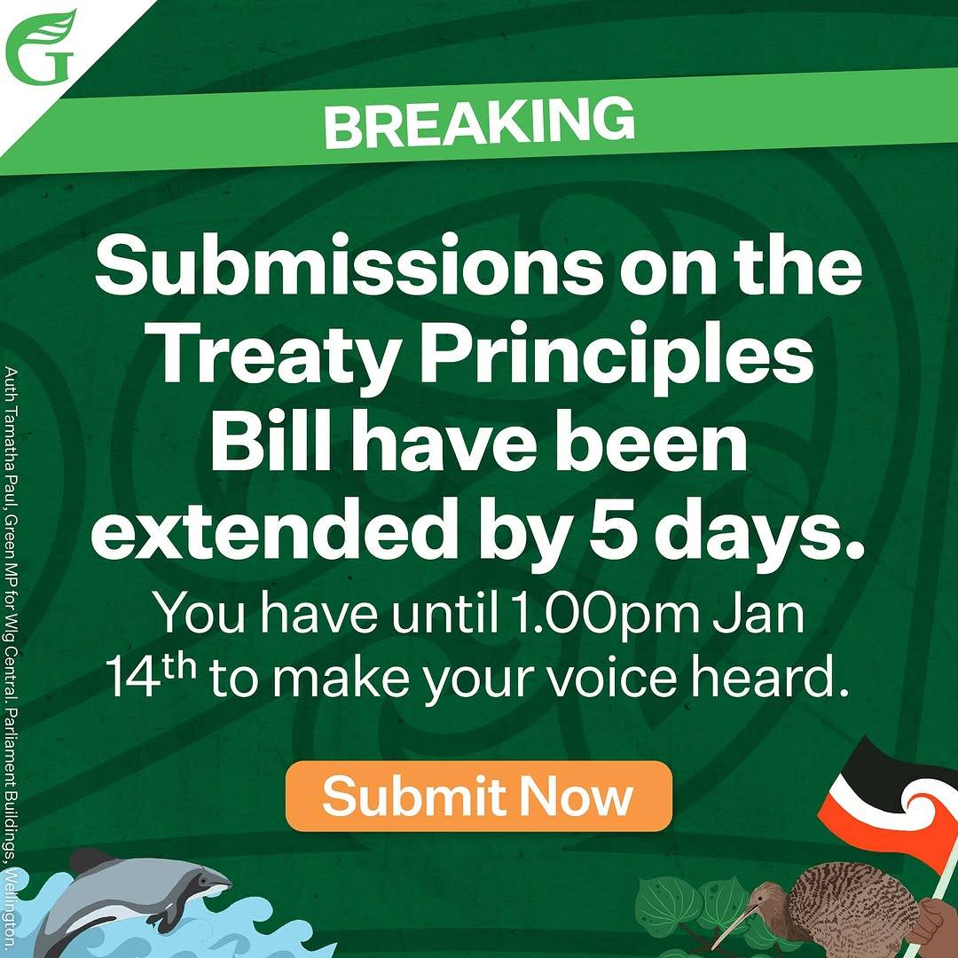 Info graphic posted by the New Zealand Green Party. It reads: 'Breaking - Submissions on the Treaty Principles Bill have been extended by 5 days. You have until 1 PM Jan 14th to make your voice heard. Submit now.' The graphic is credited to Tamatha Paul, Green MP for Wig Central, Parliament Buildings, Wellington.