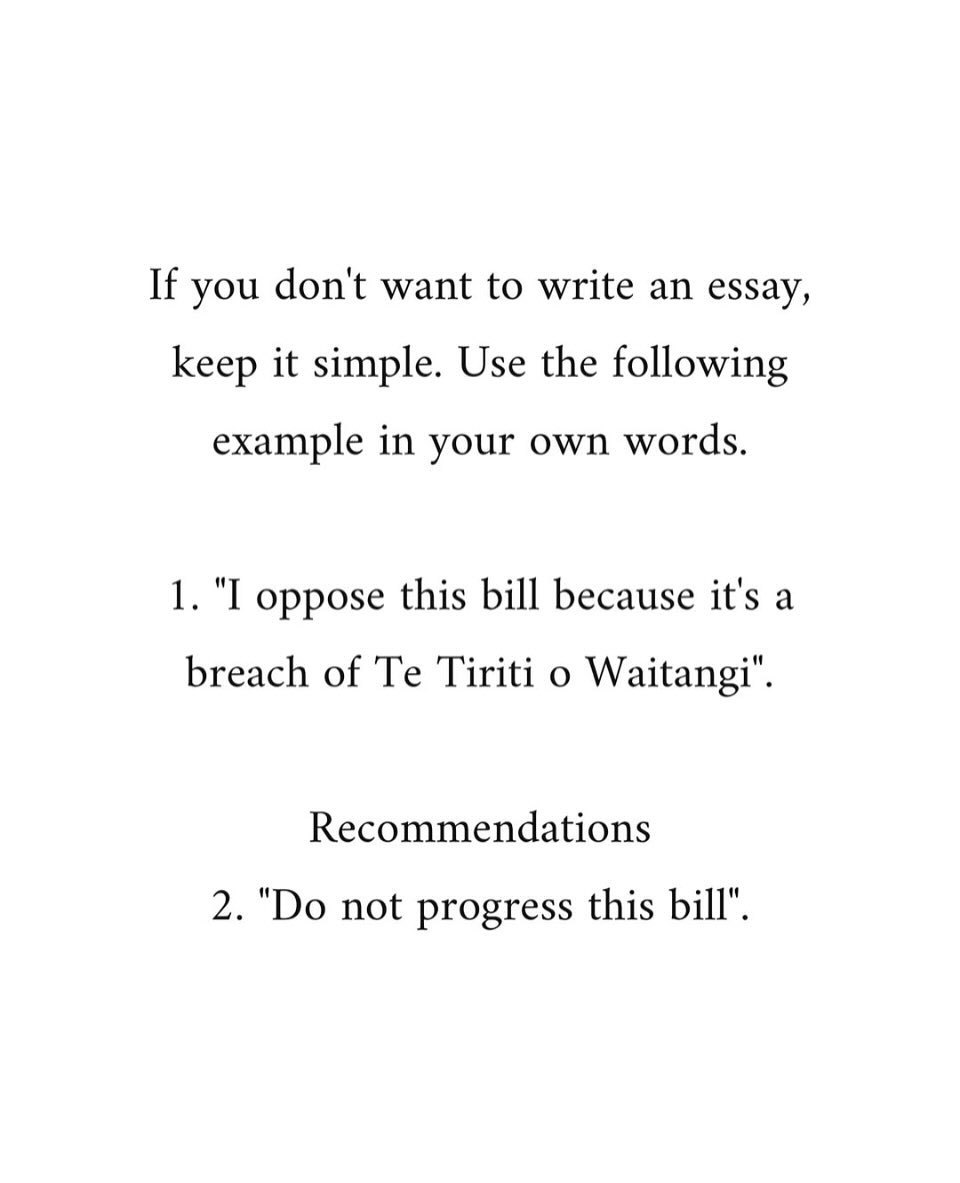 Black text on a white background: If you don't want to write an essay, keep it simple. Use the following example in your own words. 1. I oppose this bill because it's a breach of Te Tiriti o Waitangi. Recommendations: 2. Do not progress this bill.