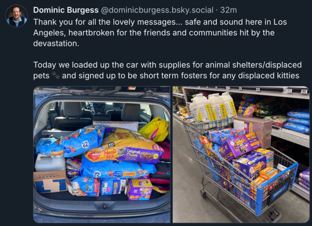 Bluesky post by @ DominicBurgess.bsky.social‬ with two photos, one showing the trunk of a car and the other a shopping cart, both stuffed full of cat supplies. The post reads: 'Thank you for all the lovely messages… safe and sound here in Los Angeles, heartbroken for the friends and communities hit by the devastation. Today we loaded up the car with supplies for animal shelters/displaced pets (animal tracks emoji) and signed up to be short term fosters for any displaced kitties.'