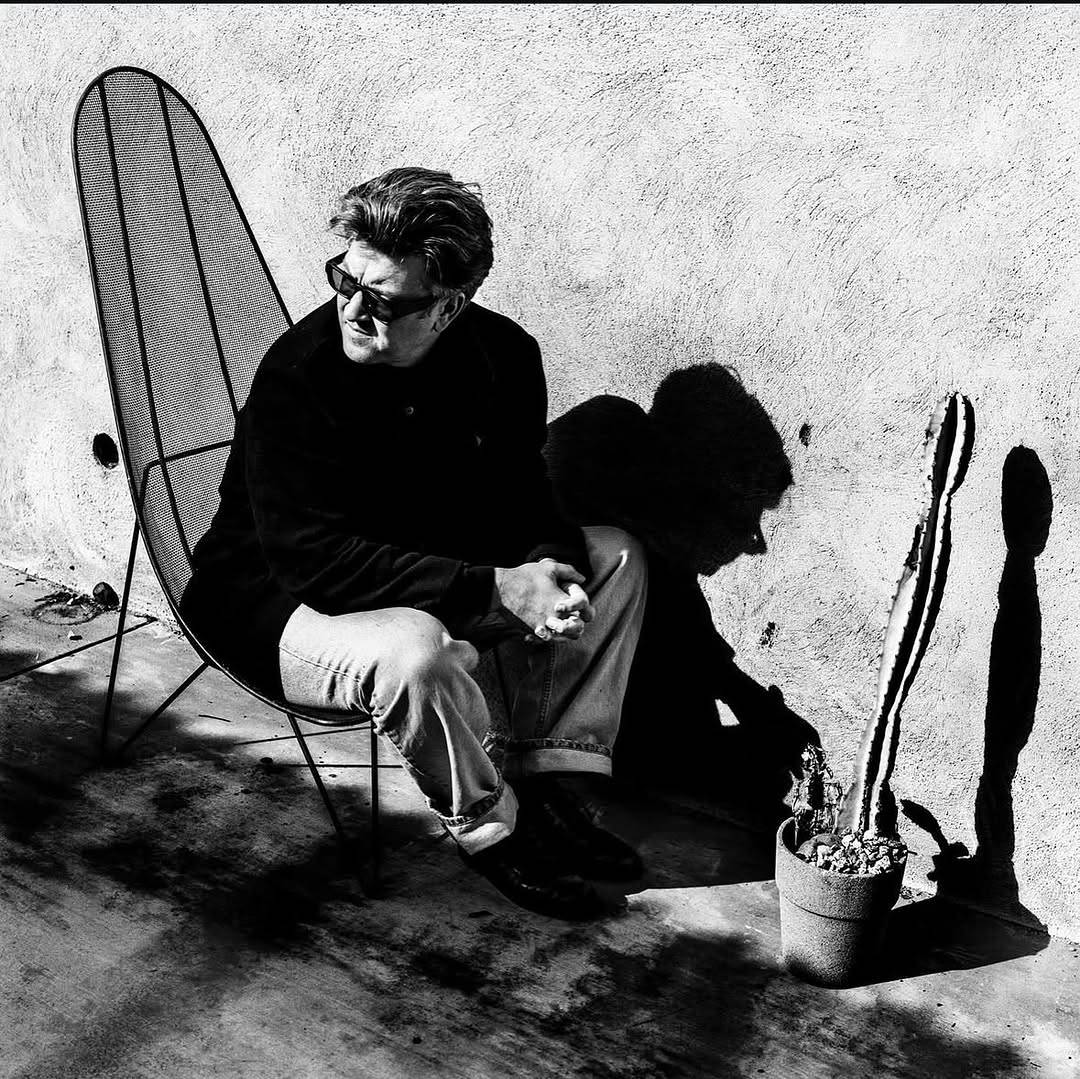 Black & white photo of David Lynch sitting in a low chair next to a wall. He is wearing sunglasses and looking off to the side. On the ground in front of him stands a tall, thin potted cactus.