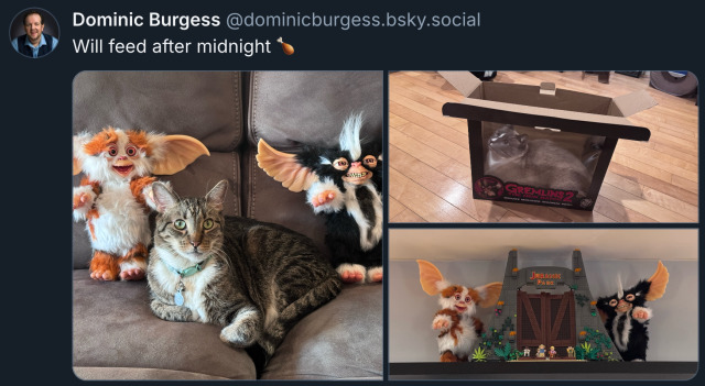 Bluesky post by ‪@ DominicBurgess.bsky.social‬: 'Will feed after midnight (poultry leg emoji).' Attached to the post are 3 photos. 1: A tabby cat sitting on a sofa, flanked on either side by a toy Gremlin. The cat is looking directly at the camera with wide green eyes. 2: A grey cat has squeezed itself into the cardboard box the Gremlins came in. Through the clear plastic at the front of the box, we see the cat lying in a loaf shape and looking up. 3: The 2 Gremlins standing on a shelf. Between them stands a Lego Jurassic Park gate with some minifigures in front of it.