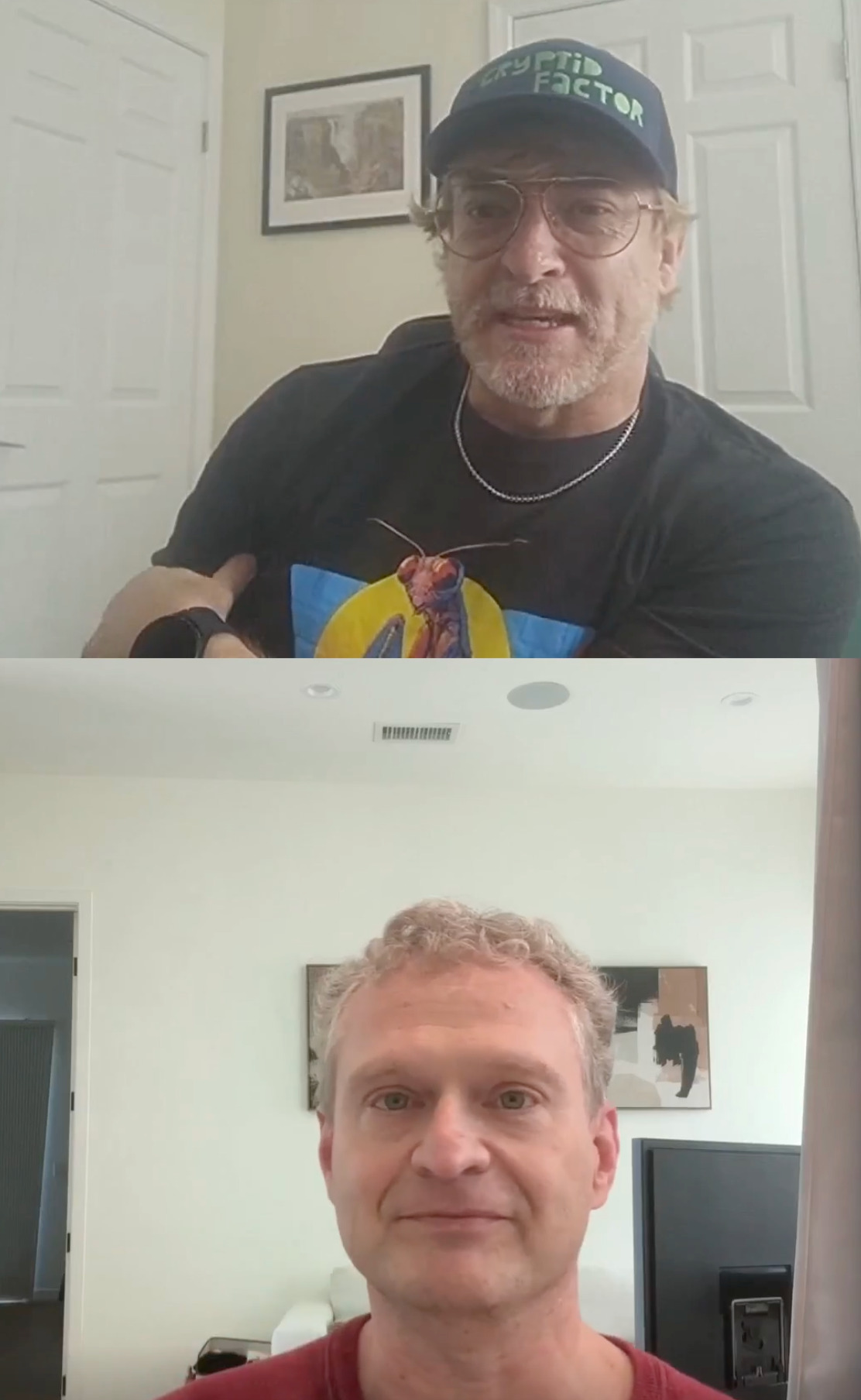 A screenshot from Rhys's video chat with DJ Javerbaum, with Rhys shown at the top and DJ at the bottom. Rhys is speaking as DJ listens, looking directly at the camera.