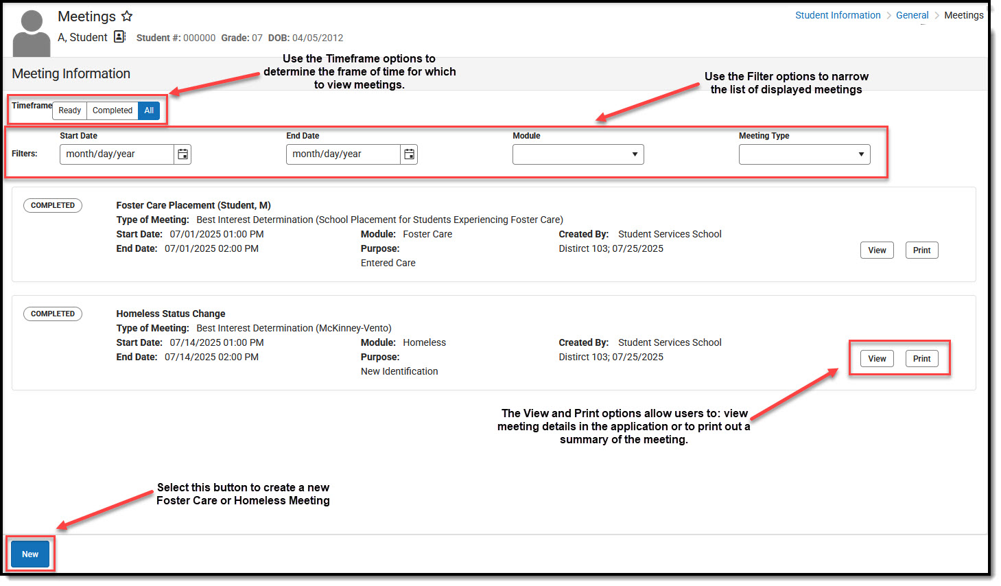 Screenshot of the Meeting Information Dashboard