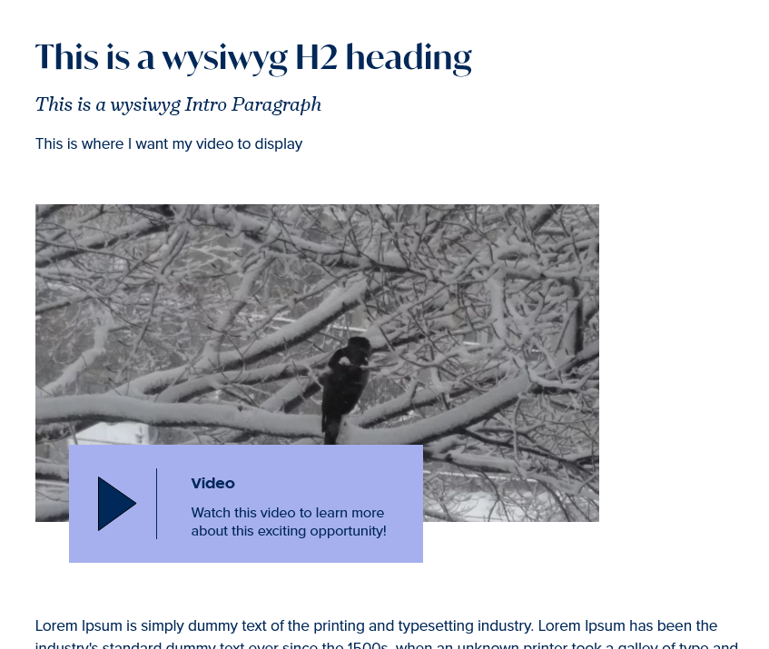 screenshot wysiwyg embed video display