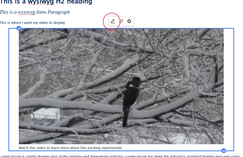 screenshot wysisyg video edit