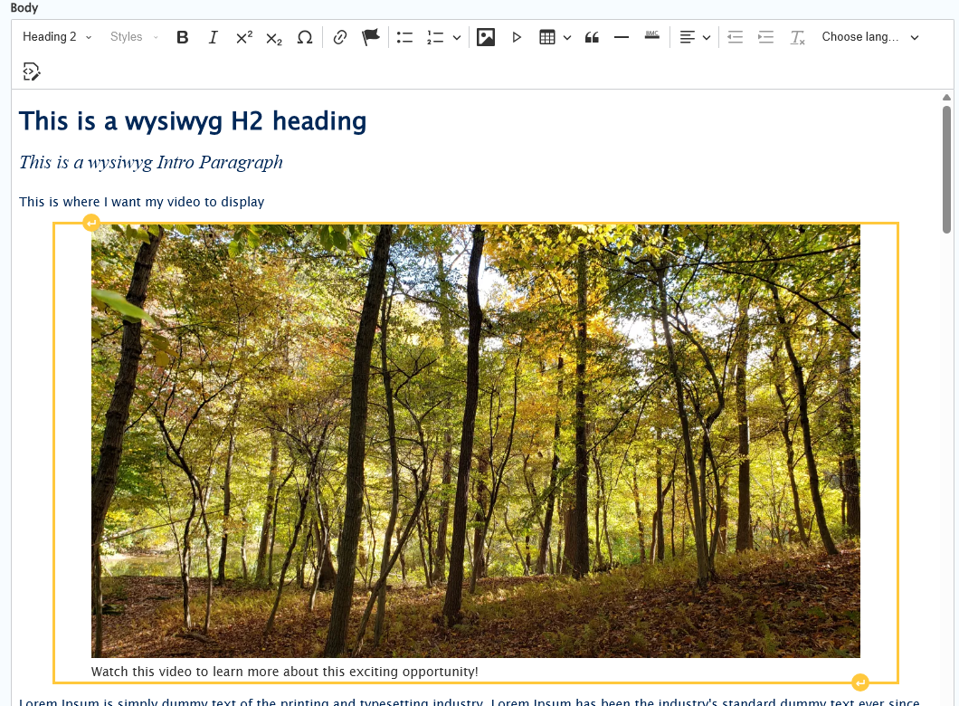 screenshot wysisyg video