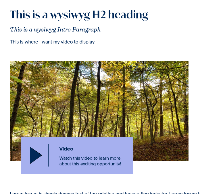 screenshot wysiwyg video display