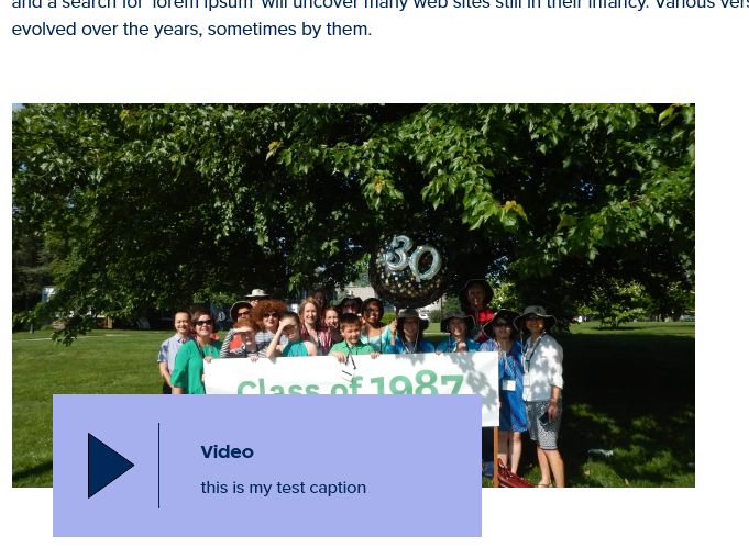 screenshot wysiwyg video display