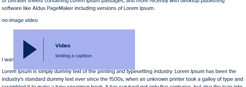 screenshot wysiwyg video without image display