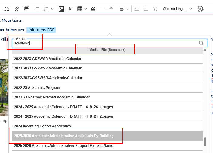 screenshot wysisyg add link url