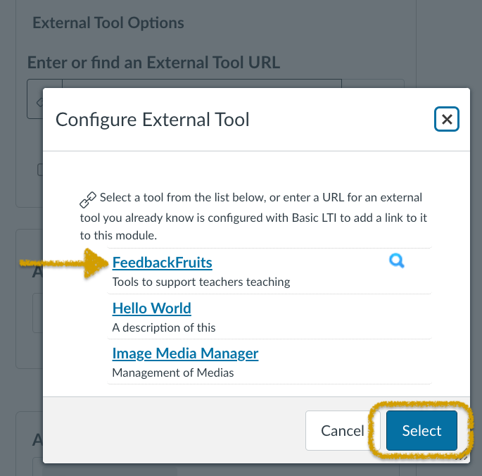 Configure External Tool Menu. FeedbackFruits is selected.