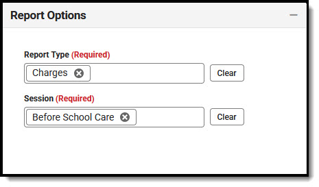 Screenshot of the Program Financial Activity Charges Report Options