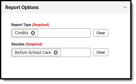 Screenshot of the Program Financial Activity Credits Report Options