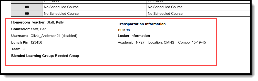 Screenshot of the Display Options on an example schedule.