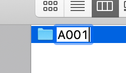 Renaming the new folder "A001".