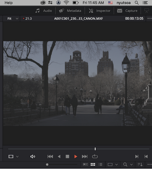 Video clip playing in the Playback window.