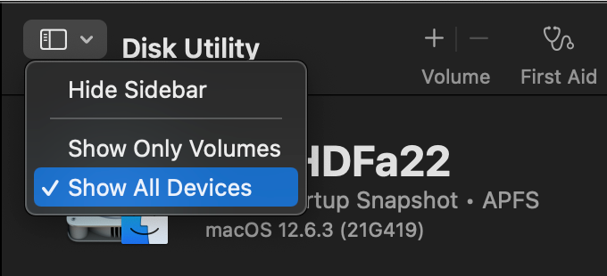 Show All Devices selected in the View menu of the Disk Utility menu.