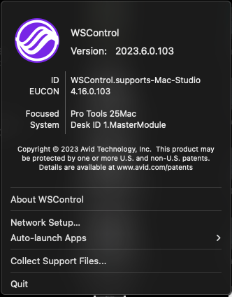 The WSControl application information.