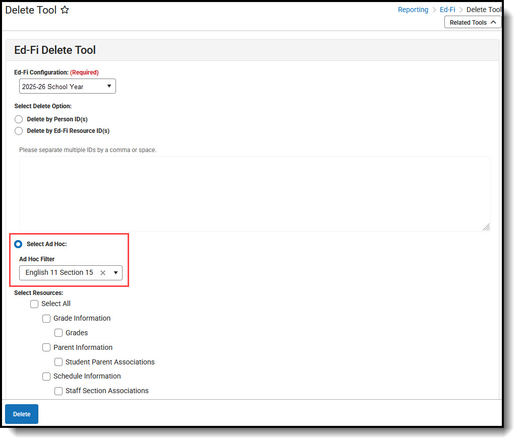 Screenshot fo the Delete Tool using Ad Hoc Filter.