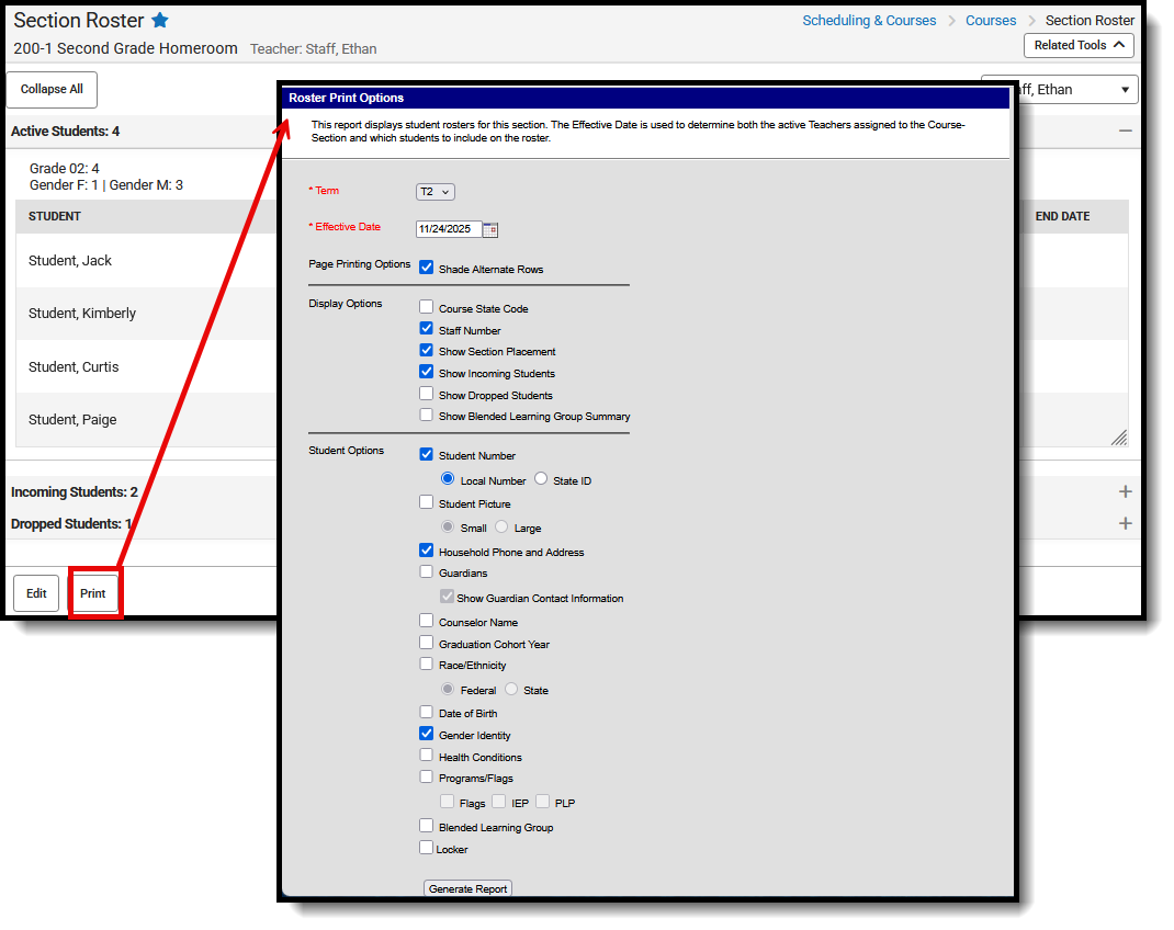 Screenshot of the Section Roster print options