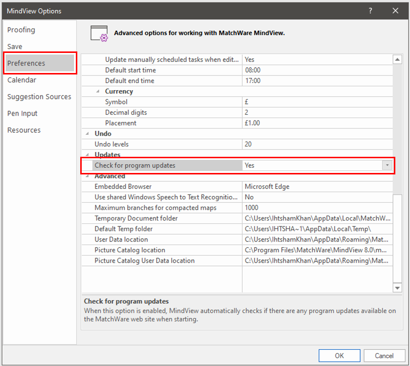 MindView Options showing the option fror Automatic updates highlighted 