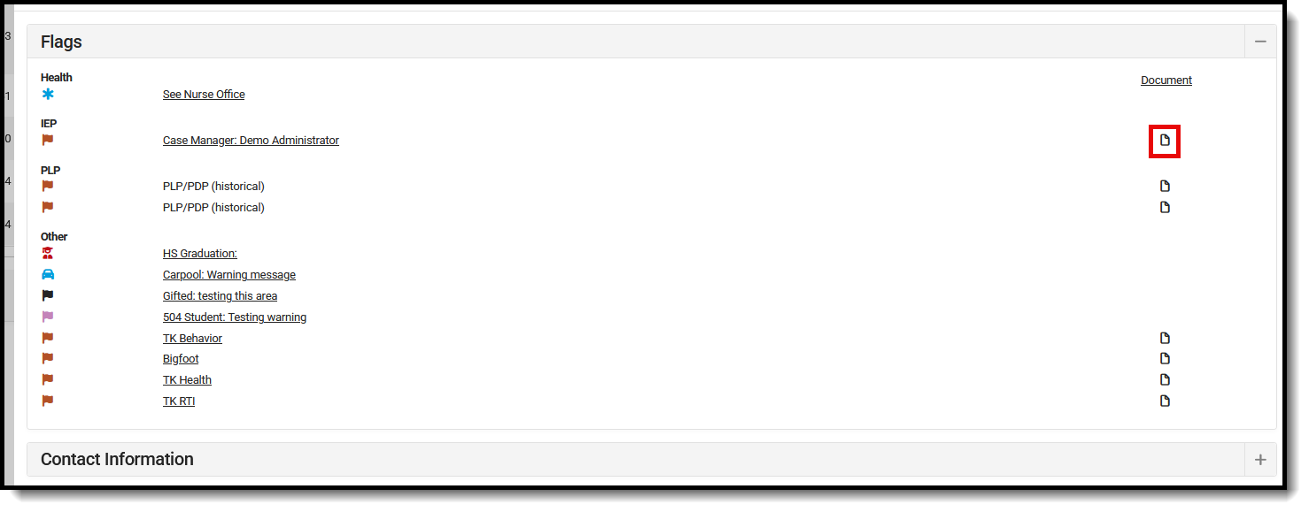 Screenshot of the Flags card with the Document icon highlighted.