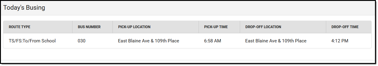 Screenshot of Today's Busing section.