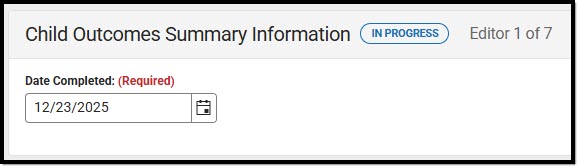 Screenshot of the Child Outcome Summary Information screen.