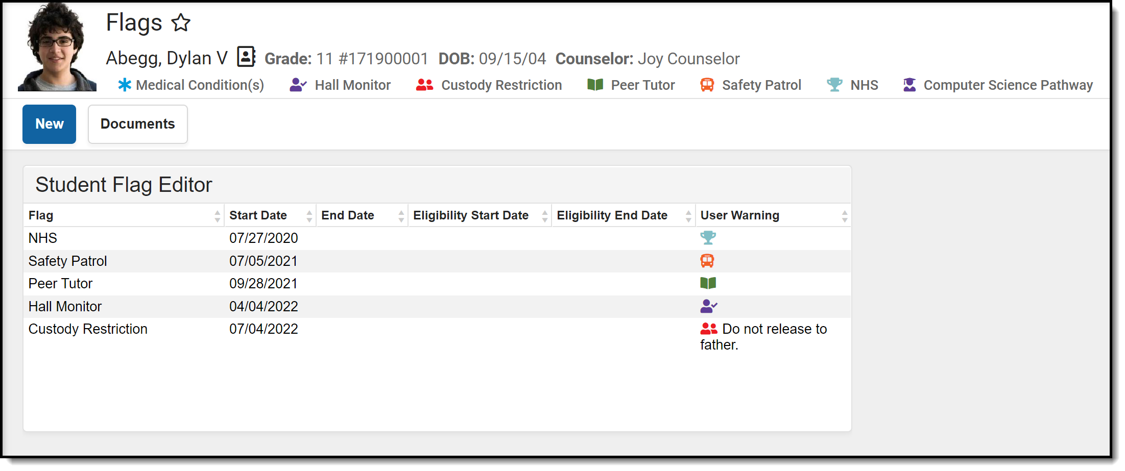 Screenshot of a student's Flags information.