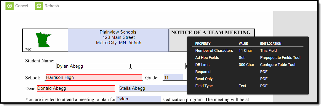Image of a preview draft custom form