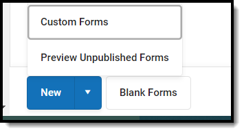 Image showing how to preview custom form