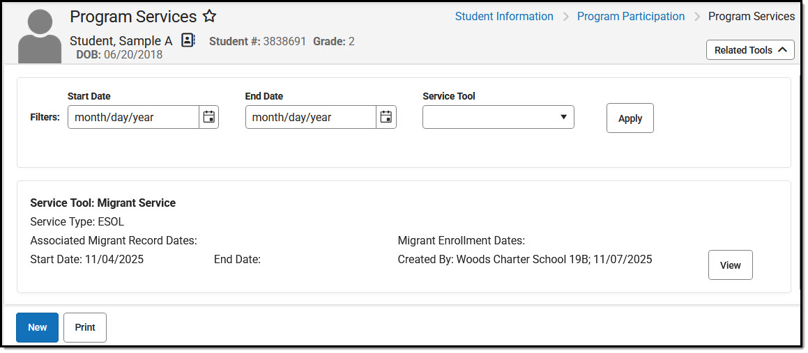 Screenshot of Program Services tool with one saved record displaying.