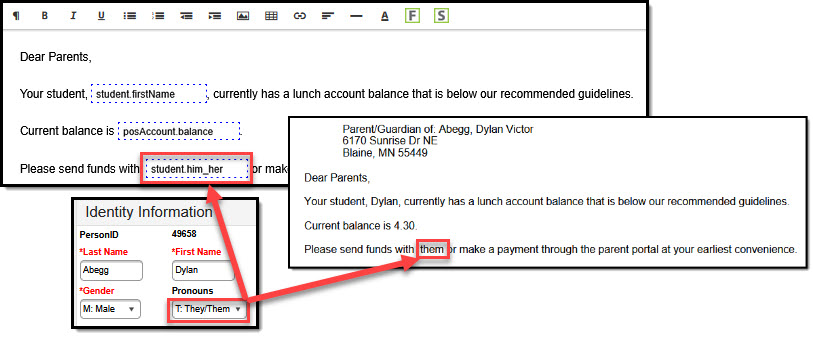 Screenshot of an example using pronoun-related field.