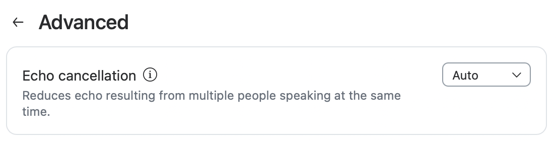 Echo cancellation is set to Auto. 
