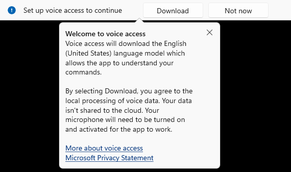 Switch on Voice Access