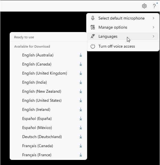 Read&Write Dictation settings